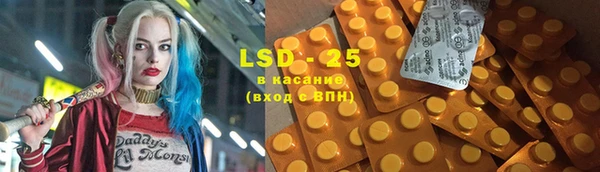 PSILOCYBIN Баксан