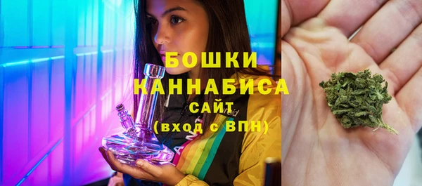 молекула духа Осинники